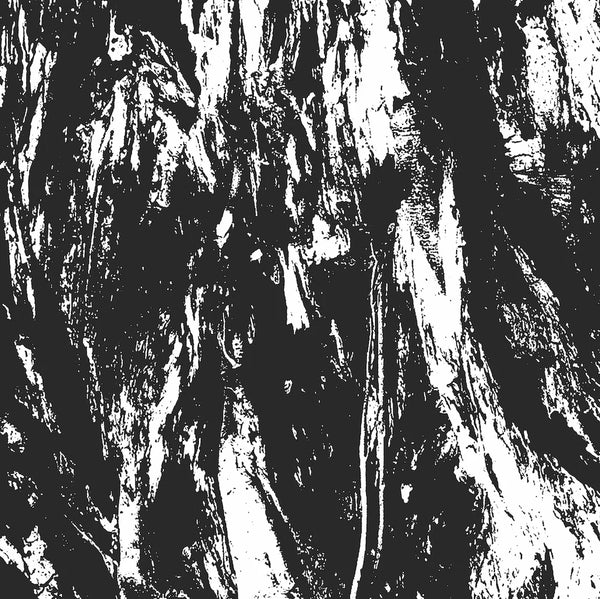 Empire of Hate / Carved Cross split LP